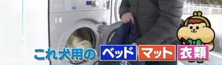NHKの「有吉のお金発見 突撃！カネオくん」にて「グッドランドリープレイス八尾店」が紹介されました。